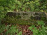 image of grave number 1981